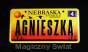 TABLICA REJESTRACYJNA-AGNIESZKA